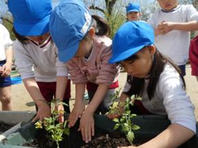 ひかり幼稚園